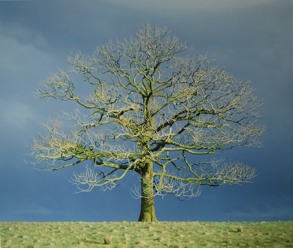 gallery | Nigel Wood