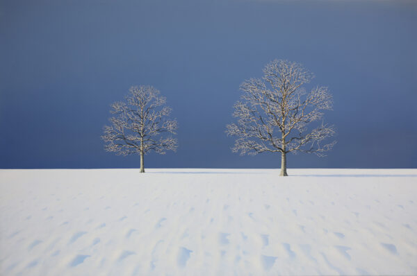 Oak Trees in the Snow