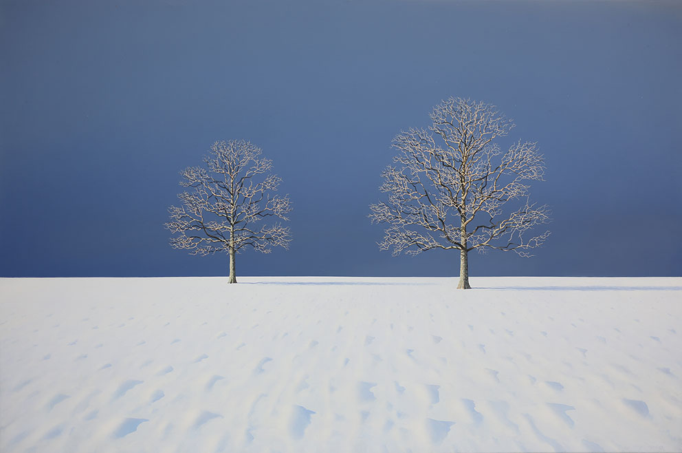 Oak Trees in the Snow