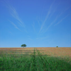 Summer