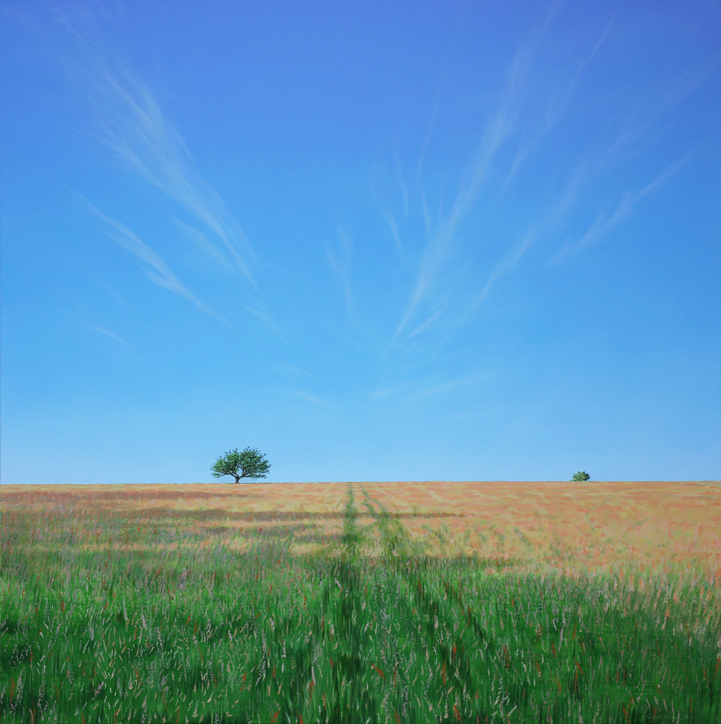 nigel-wood-545-1400 summer