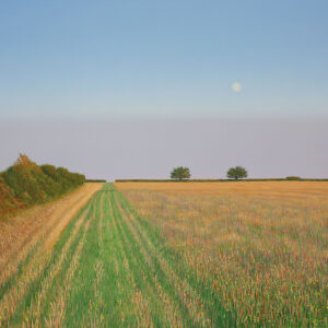 Moon over Brynhoffnant