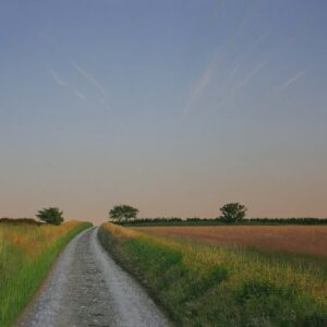 Track
