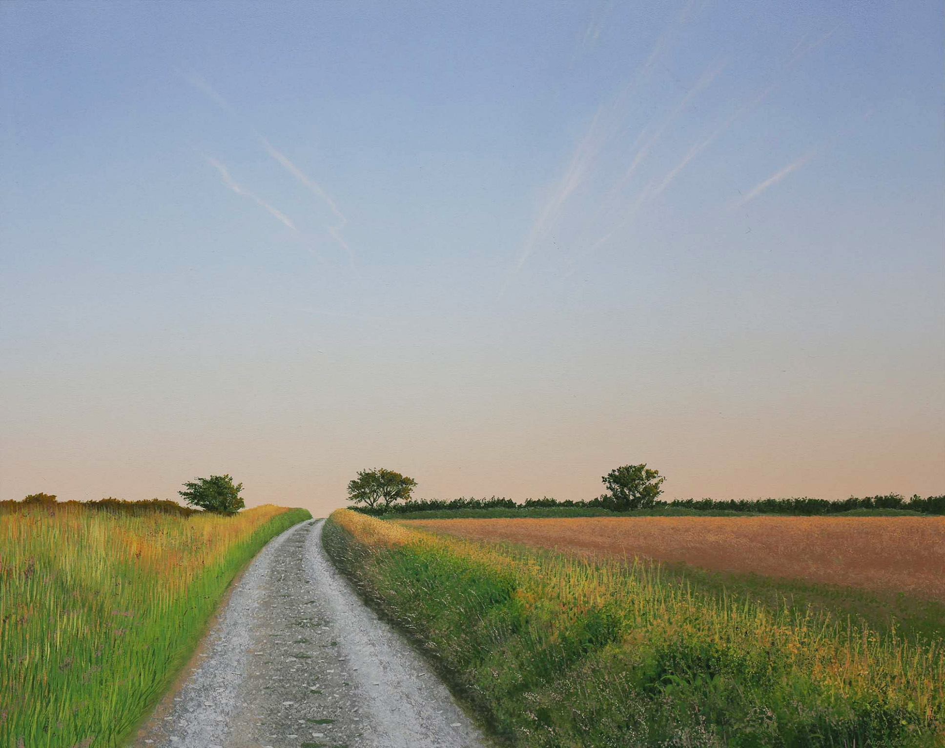 nigel-wood-604-1700 Track