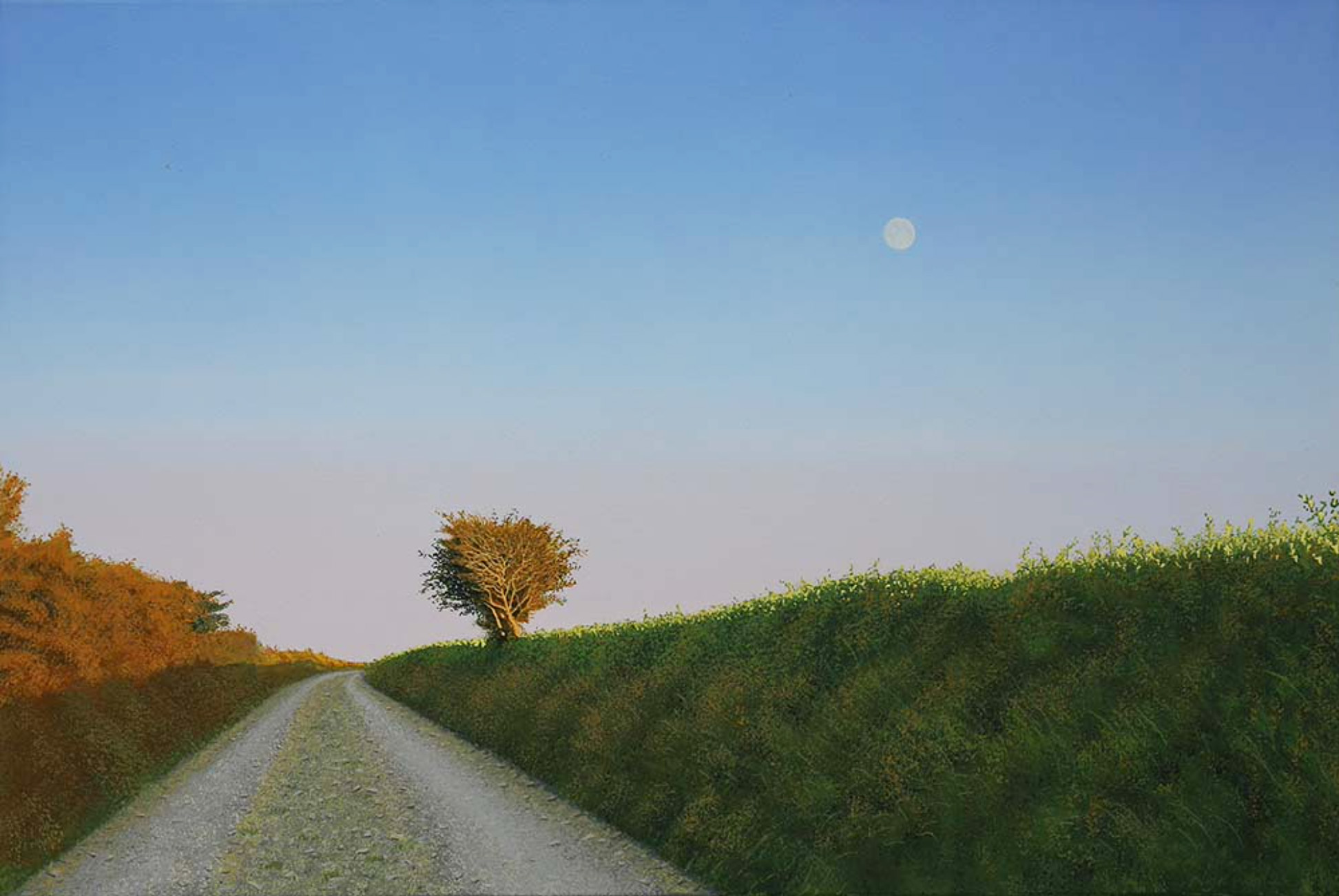 nigel-wood-609-1700 Low Sun