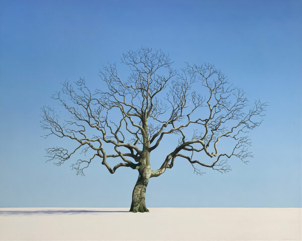 oak