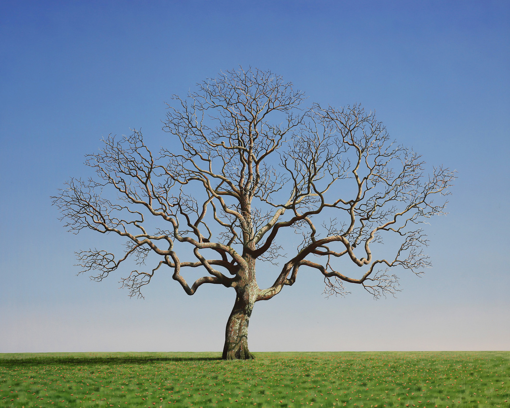 nigel-wood-546-1700 oak