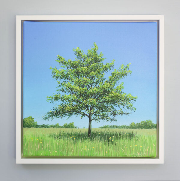 Oak