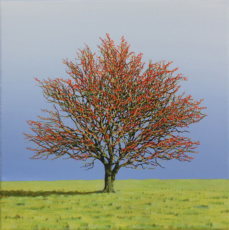 Hawthorn