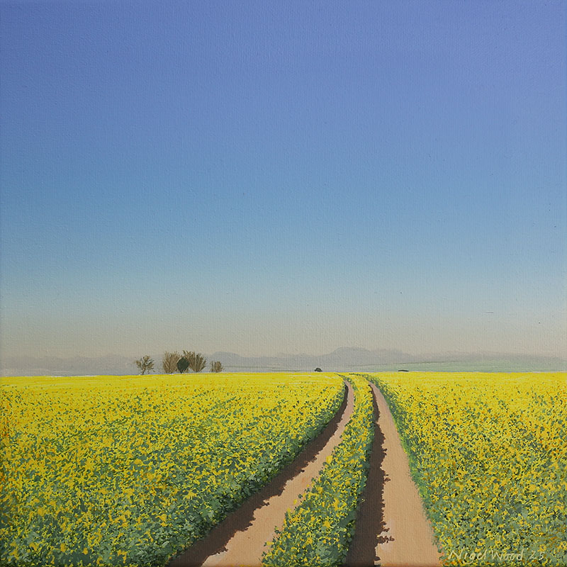 Field