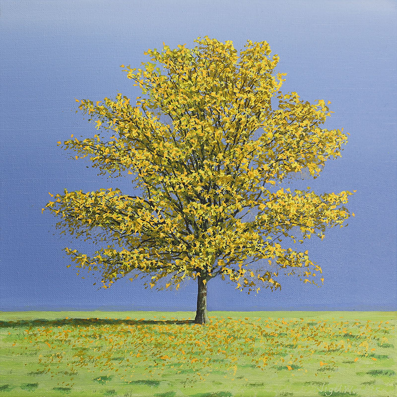 Maple