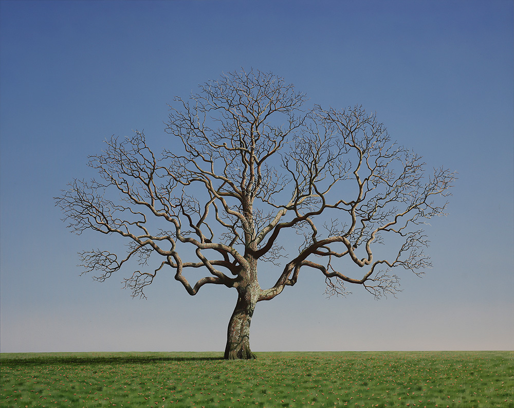 Oak