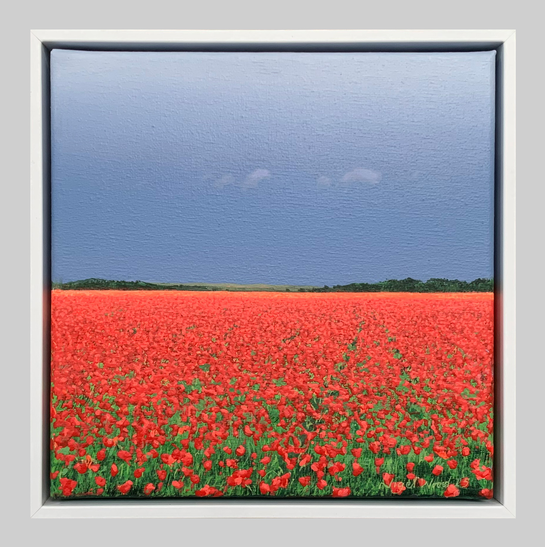 nigel-wood-561-1800 poppies