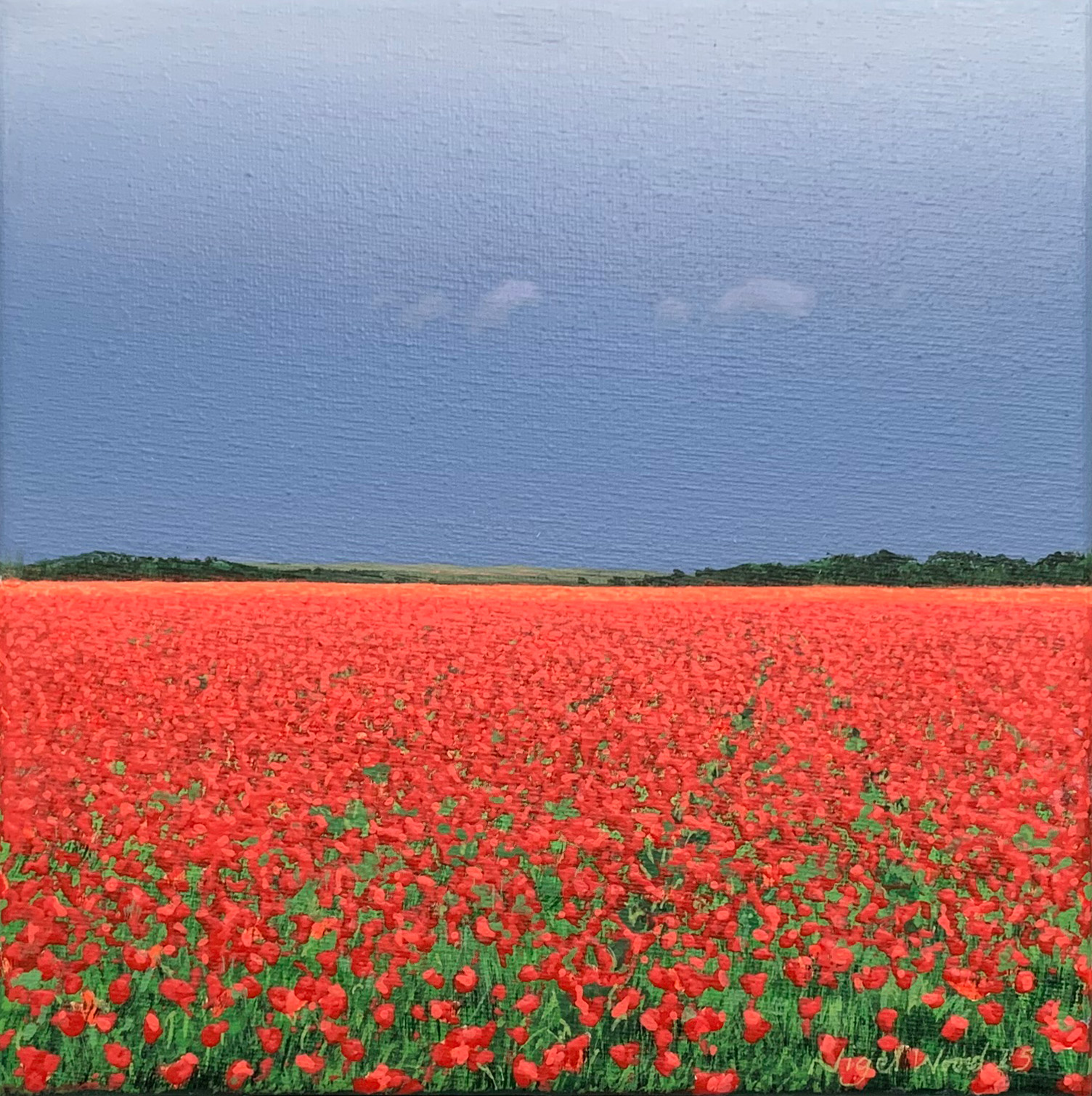 nigel-wood-590-1600 Poppies