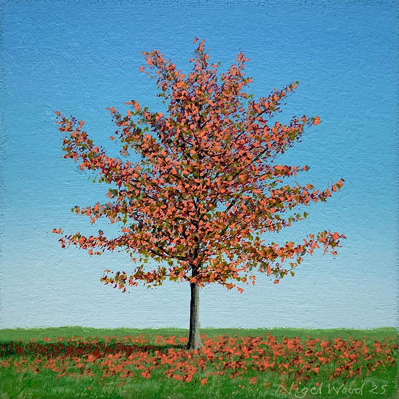 Maple II-800 Maple II