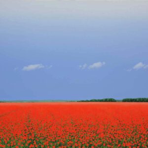 Poppy Field II