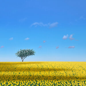 May Tree II