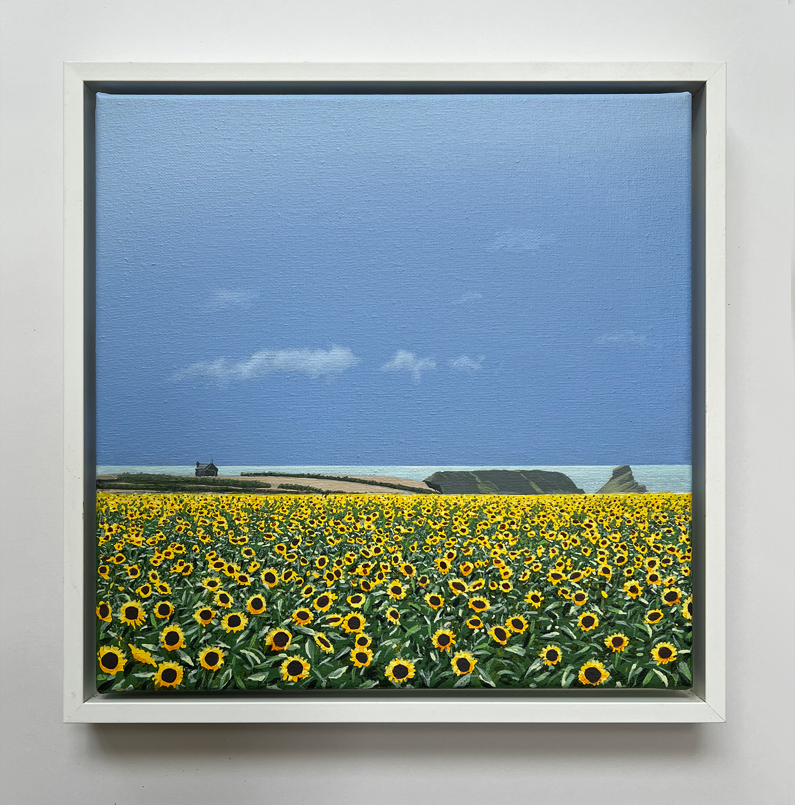 nigel-wood-489-1600 Sunflowers at Rhossili