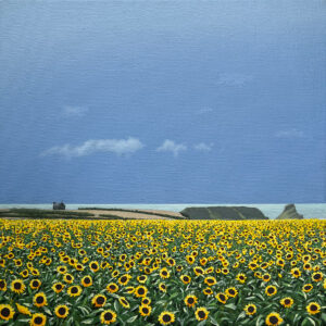 Sunflowers at Rhossili