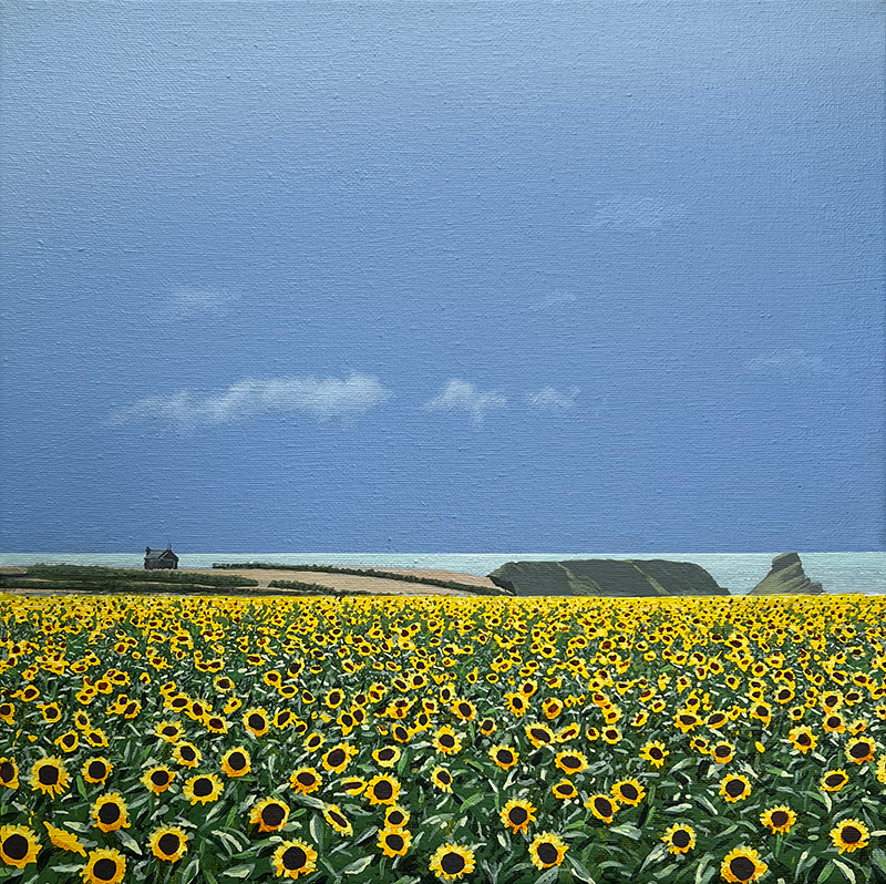 Sunflowers at Rhossili