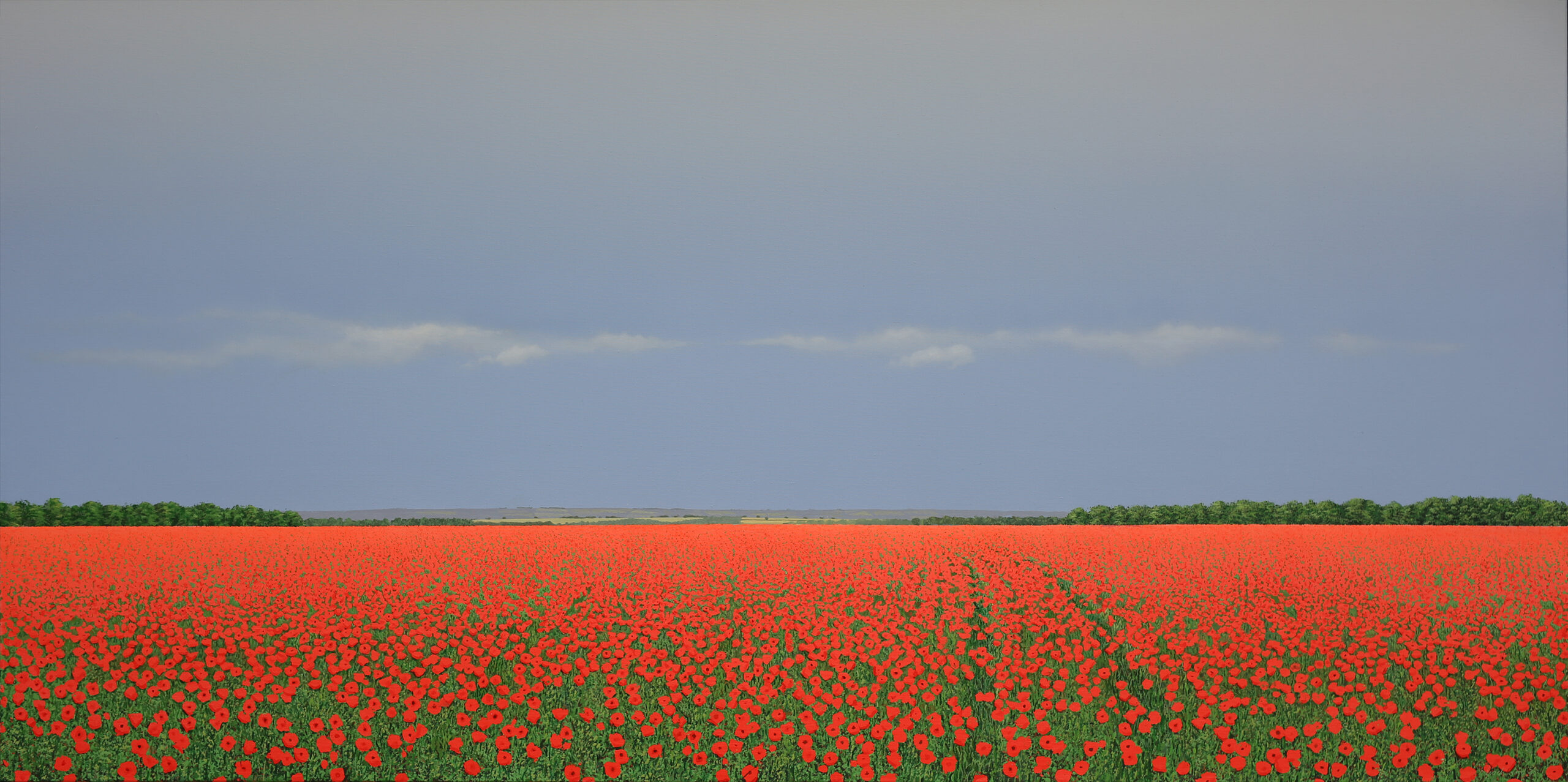 Field Poppies Field Poppies