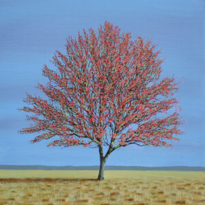 Hawthorn VI