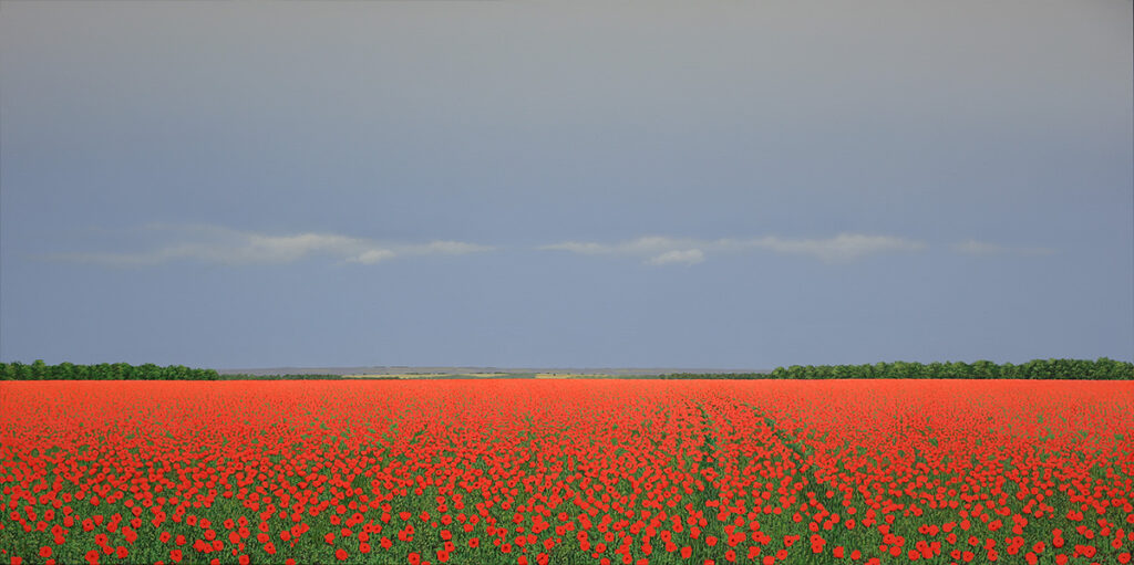 Field Poppies