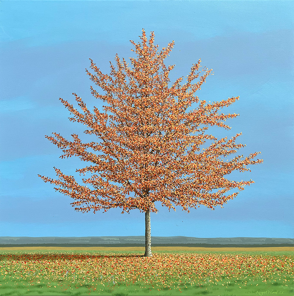 Beech Tree