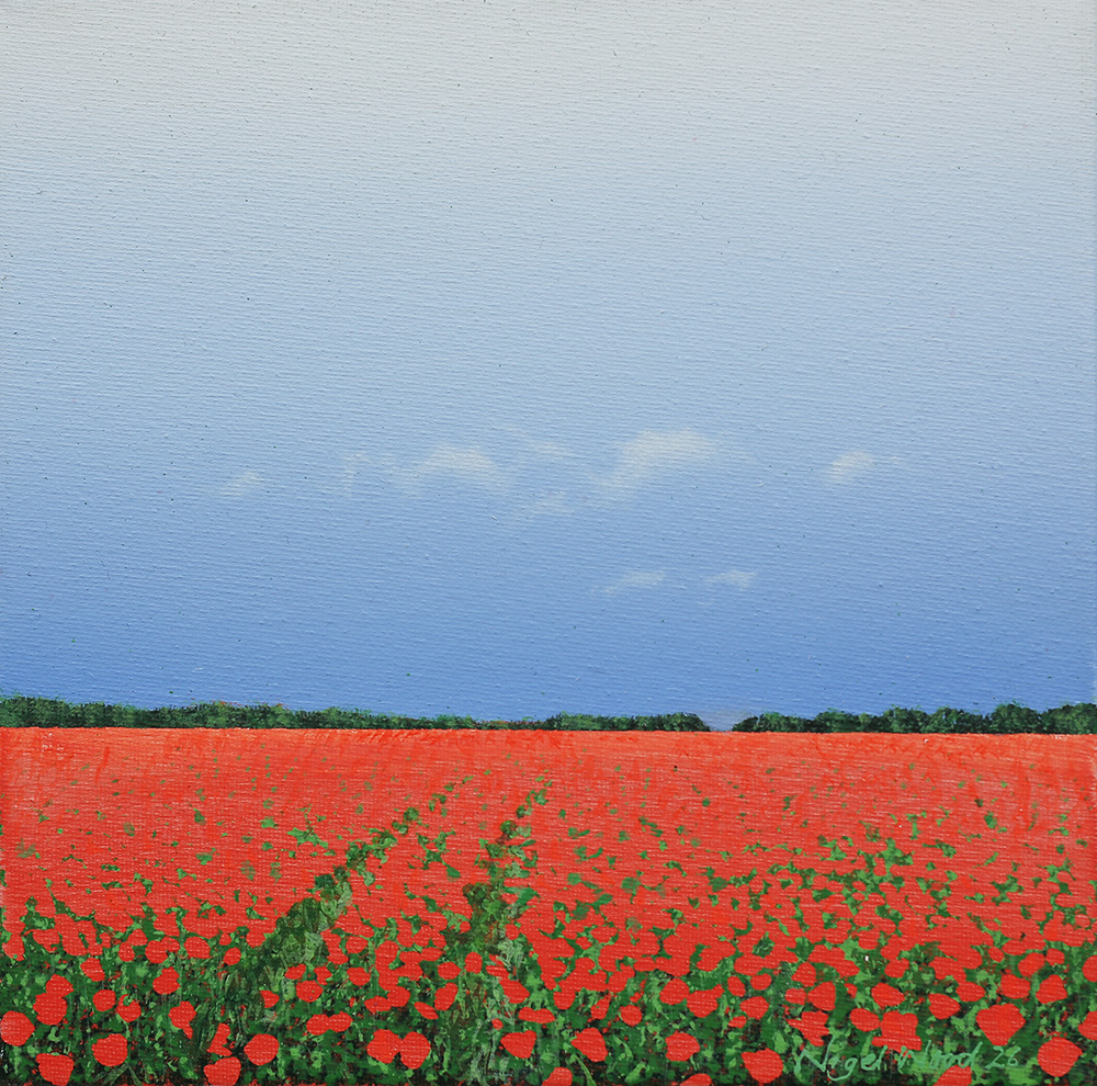 Wild Poppies