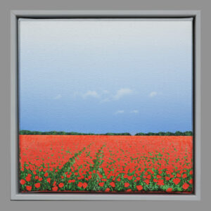 Wild Poppies