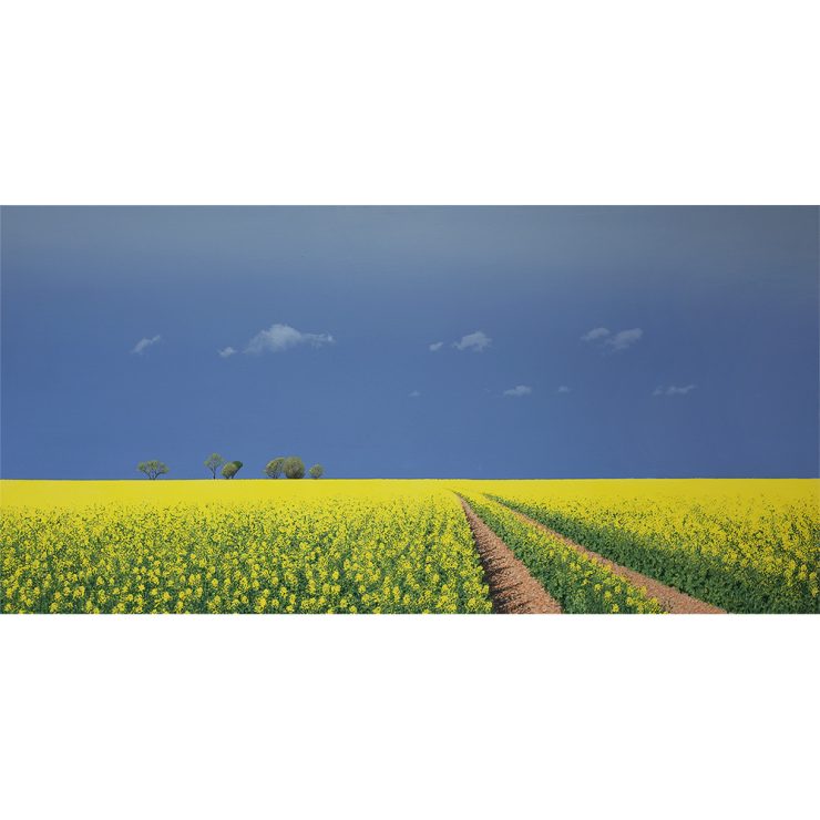 Field IV