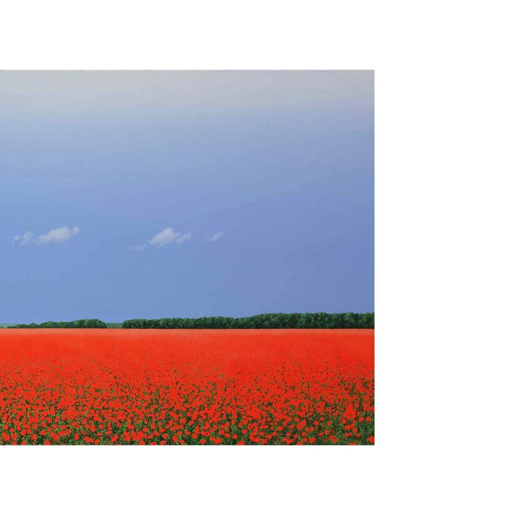 Poppy field